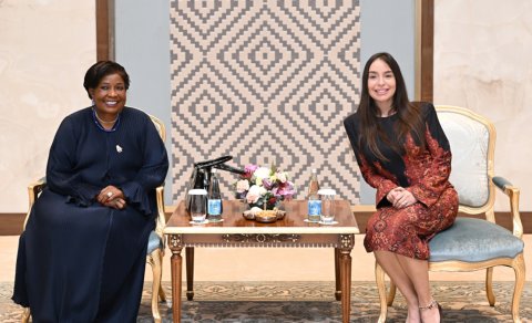 Leyla Əliyeva Zimbabvenin birinci xanımı ilə görüşdü