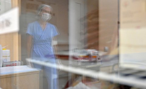 Antibiotiklərə davamlı infeksiyaların müalicəsində yeni ümid - Bakteriofaqlar