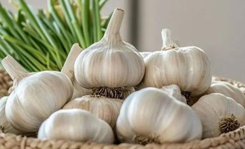 Sarımsaq qiymətləri neçəyədir?