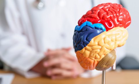 Uşaqlarda depressiya riskini göstərən mümkün beyin əlaməti aşkarlandı