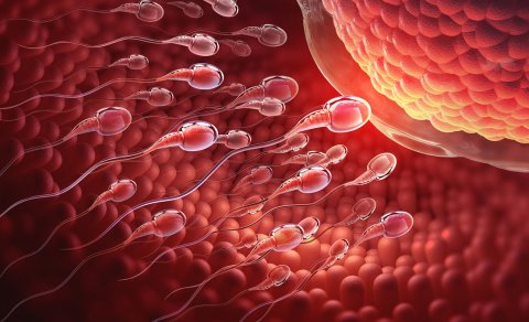 Alimlər laboratoriyada süni həyat yaratmağın niyə mümkün olmadığını açıqladı