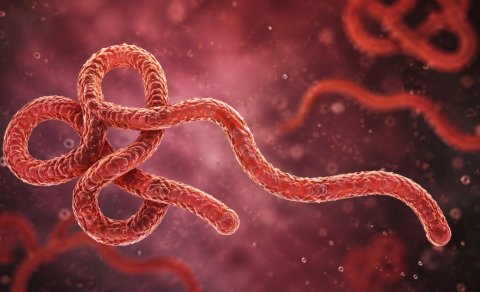 Dünyada Ebola təhlükəsi böyüyür