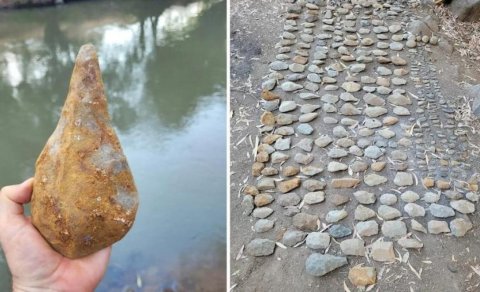 700 min il əvvəl yaşamış filin dişi qədim insanların məskunlaşdığı dünyanı üzə çıxardı