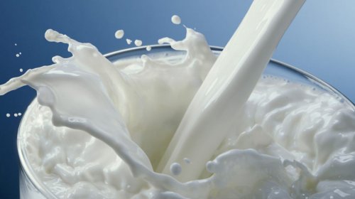 Qədim romalılar niyə süd içmirdilər? - FAKTLAR