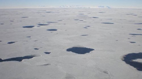 Antarktidada Çexiya böyüklüyündə polinyanın mənşəyi aşkarlandı