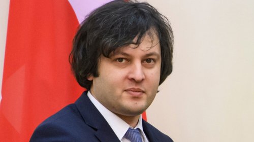 Gürcüstan hakimiyyəti xarici agentlər haqqında qanunu sülhün təminatı adlandırdı