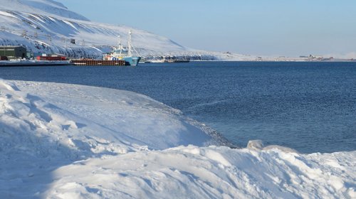 Norveç Uzaq Şimalda dünyanın sonunda torpaq sahəsini çinlilərin satın almasından qorxub