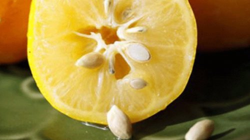 Limon dənələrini atmayın: Bu faydaları var