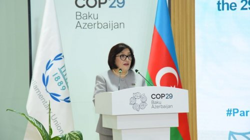 COP29-da artıq bəzi mühüm nəticələr əldə olunub - Milli Məclisin sədri
