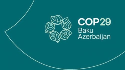 "Azərbaycan COP29-da çox böyük nailiyyətlər əldə etdi" - AÇIQLAMA