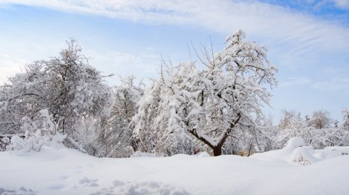 Sabah dağlıq ərazilərdə qar yağacaq
