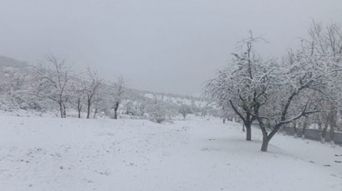 Havanın temperaturu daha 5 dərəcə enəcək - XƏBƏRDARLIQ