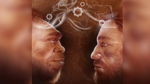 Alimlər insanlar və neandertallar arasında əməkdaşlığa dair sübutlar tapdı