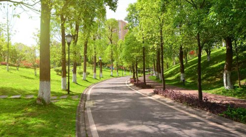 Bakının bu ərazisində böyük park salınır