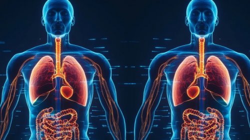 Orqanların yerinin dəyişdiyi nadir hal: “Situs inversus” nədir?