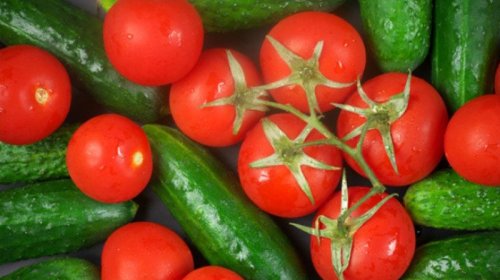 Pomidor və xiyarlar nə üçün dadsızdır?