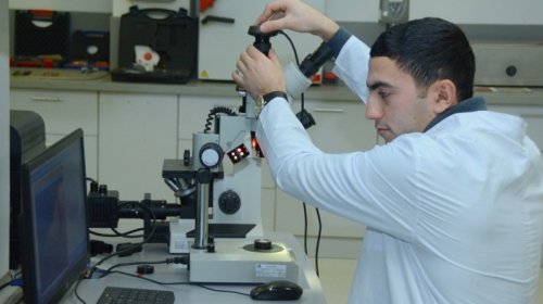 Ali təhsil müəssisələrinin yaralı yeri: Güvən və koordinasiya problemi