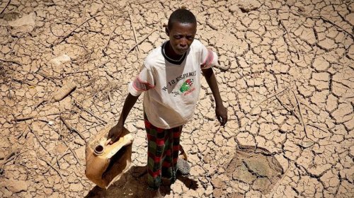 BMT Afrika torpaqlarını quraqlıqdan xilas etməyin yolunu tapdı
