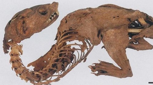 Arxeoloqlar qədim "göy qurşağı əjdahasının" sirrini açdı
