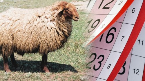 Qurban bayramında nələr haram sayılır?