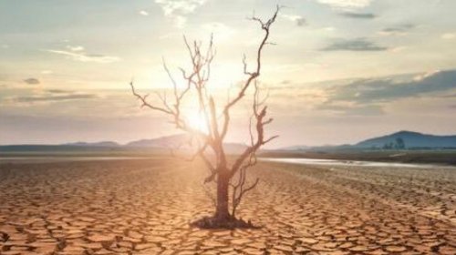 Atmosfer susuzluğu quraqlığın artmasının əsas səbəbidir - ARAŞDIRMA