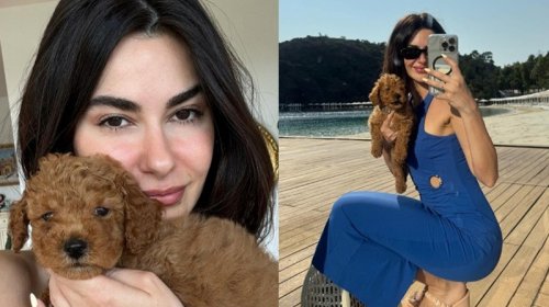 Nəsrindən ünvanına yazılan tənqidlərə cavab - FOTO