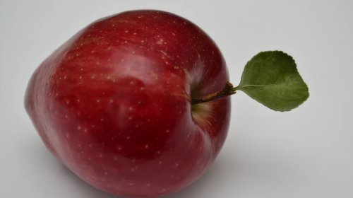 Almaların üzərindəki kiçik nöqtələr: Nədir və nə üçün lazımdır?
