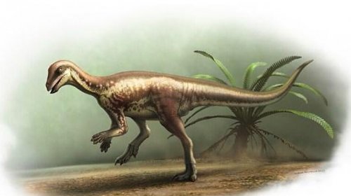 Sirli qaçan dinozavr Yura dövrünün başqa bir sirrini açdı