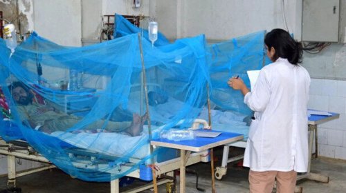 Təhlükəli virus qapıda: Artıq Qərbi Azərbaycanda...