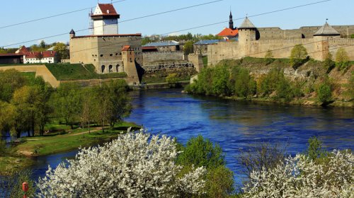 Estoniyada müharibə hazırlığı: 15 milyon avroya hərbi şəhərcik tikiləcək