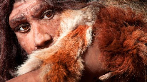 Neandertalların özünə məxsus yeməkləri olub: Alimlər fərqli ət doğrama üsulları tapdı