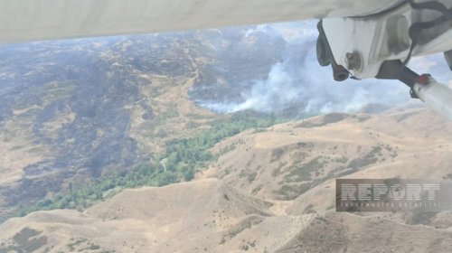 Talış və Tapqaraqoyunlu kəndləri istiqamətində yanğınlar meşəlik əraziyə keçdi - YENİLƏNİB