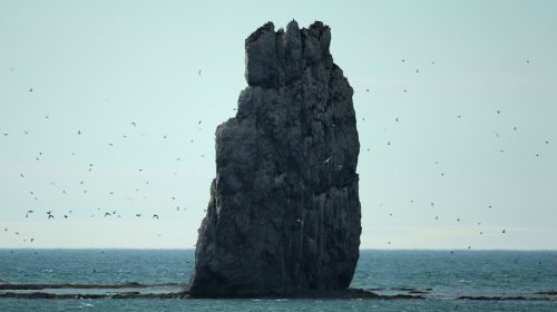Arktikada təbii radioaktivlik sürətlə artır