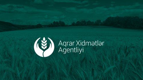 Aqrar Xidmətlər Agentliyinin 256 min manatlıq tenderi niyə ləğv edildi