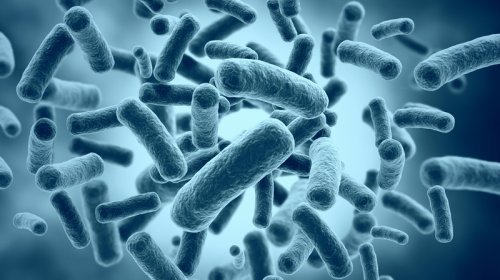 Antibiotiklərin müqavimətli bakteriyalara qarşı gücünü bərpa etməyin bir yolu tapıldı