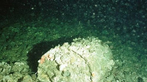 Atlantik okeanındakı "radioaktiv saatlı bomba" partlamağa hazırdır