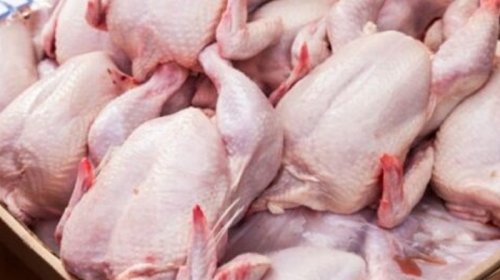 Azərbaycanda quş əti ilə özünütəminat səviyyəsi kəskin azaldı: Səbəb nədir?