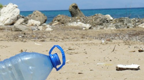 Alimlər bakteriyalara plastiki parçalamağı öyrətdi və karbon uducu material ixtira etdi