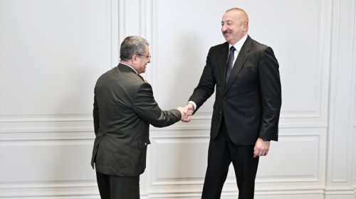 Prezident Selçuk Bayraktaroğlunu qəbul etdi - FOTO