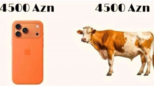 4500 manata "iPhone", yoxsa inək?