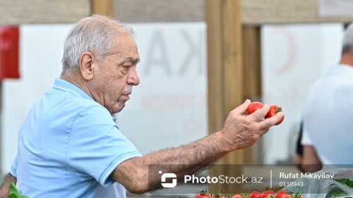 Pomidor və xiyar bahalaşır - Səbəb nədir?