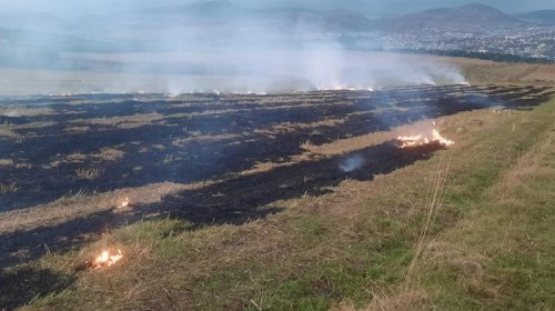 Şamaxıda yanğın törədən şəxs məsuliyyətə cəlb olundu