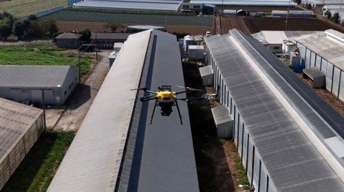 Yapon fermerlər toyuqları quşlardan qorumaq üçün lazer dronlarından istifadə edəcək - VİDEO