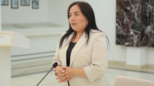 Sevindik Hətəmov xanım müavinini işdən çıxardı - FOTO