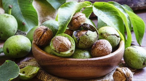 Sağlamlıq üçün faydalı yaş qoz