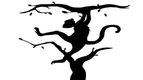 Beyninizin hansı yarımkürəsi dominantdır? - Özünüzü sınayın