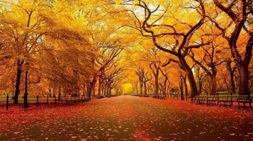 Oktyabrda Azərbaycanda müşahidə olunan hava PROQNOZU