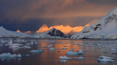 Antarktida sularının altında sirli işıqlanma