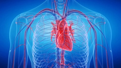 Yuxuda olan geni oyatdılar: İnsan ürəyi artıq özünü bərpa edə biləcək