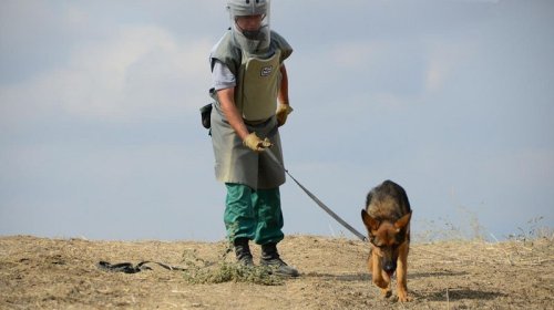 Qazaxın azad edilmiş kəndlərinin indiyədək nə qədər hissəsi minalardan təmizlənib?